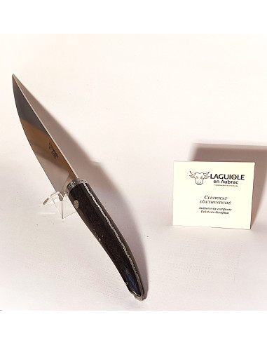 Laguiole a Aubrac- Ganivet xef ebà 20cm.